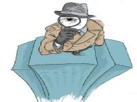 丰林县寻人公司阐述拐卖儿童的可疑行为